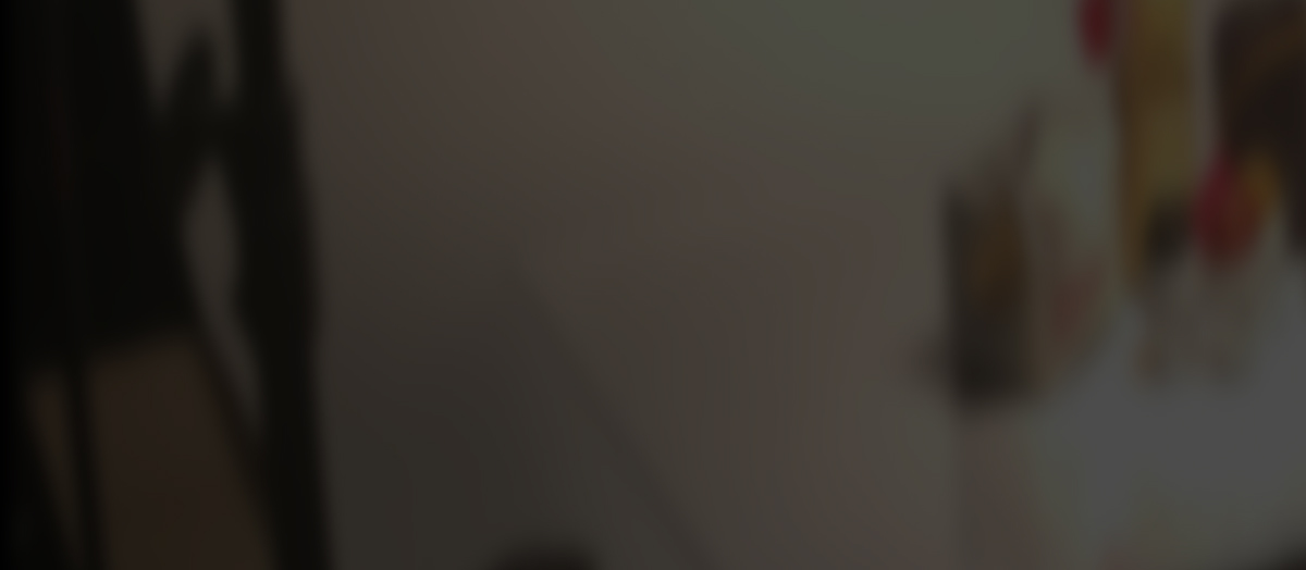 亚洲区色情区激情区小说